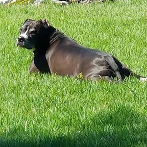 Meet your Posher, Pamela